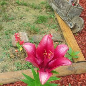 Meet your Posher, Pat